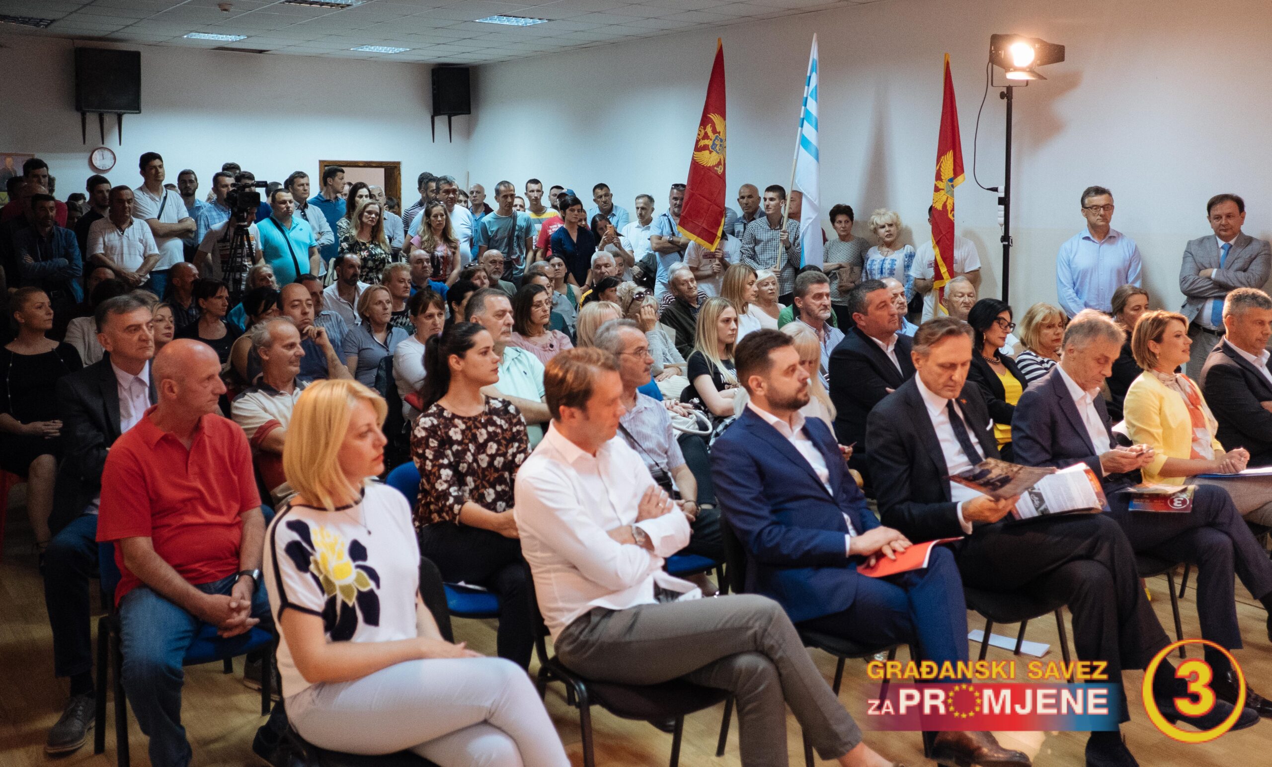 Vujović: DPS patriote pojela pohlepa
