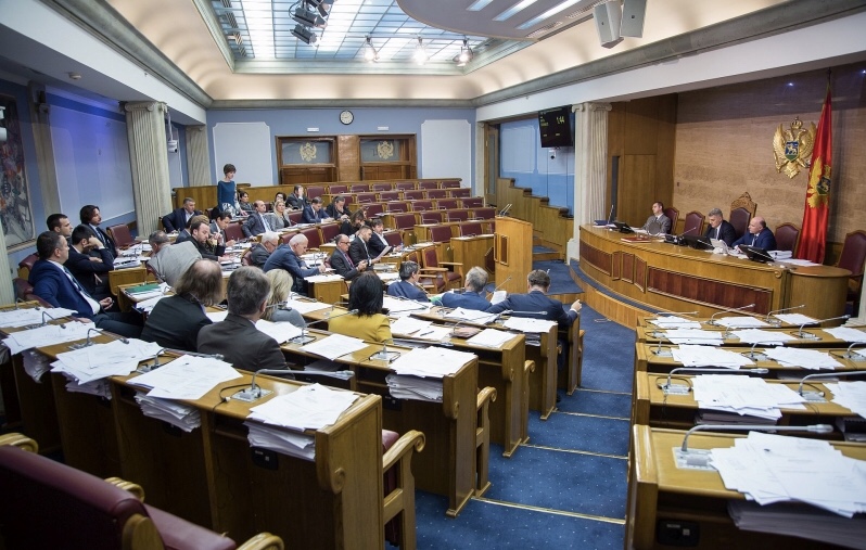 Pao predlog Vlade: Nema kažnjavanja za one koji negiraju mišljenje vlasti