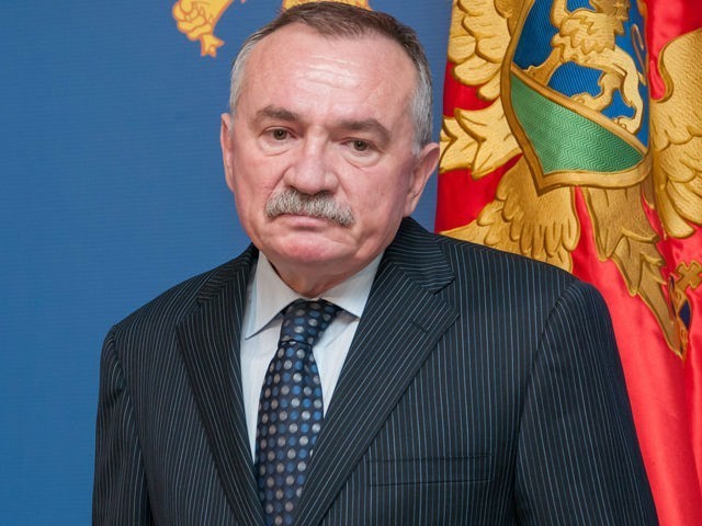 Radulović: Plaćamo najskuplju struju