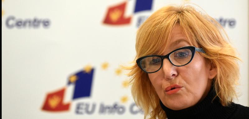 DPNCG: Iza hapšenja Živkovića, Raičevića i Đikanović stoji Vlada