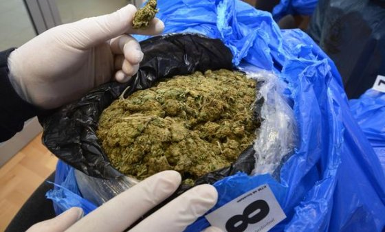 Policija pronašla 23 kilograma skanka u Skadarskom jezeru