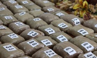 Za tri godine zaplijenjeno skoro devet tona narkotika
