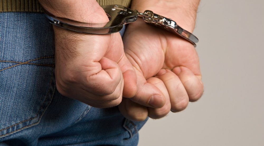 Uprava policije: 12 osoba će odgovarati za 11 krađa