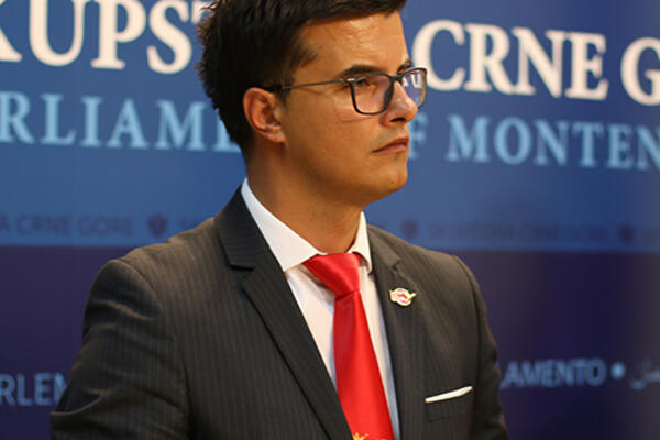 Šaranović: Prebijanje, lomljenje i hapšenje očigledno su prihvatljivi modeli politike DPS-a