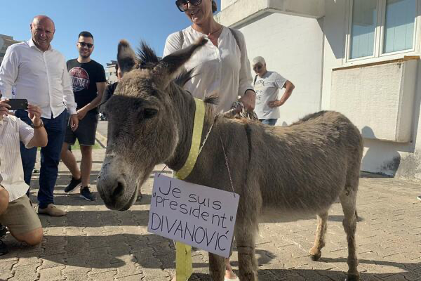 Performans ispred zgrade SO Budva: Doveli magarca da pokažu da DPS i sateliti postavljaju poslušne na funkcije!