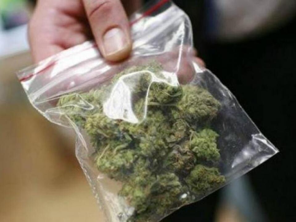 U Nikšiću: Zaplijenjena marihuana