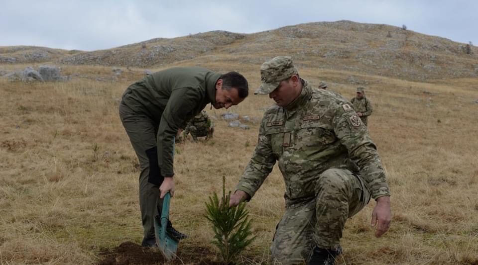 Boškovićevi zasadi se nijesu primili: “Da se jadan za zelen bor uhvati i on bi se osušio”