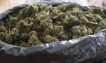 Crnogorac uhapšen u BiH sa 55 kilograma marihuane