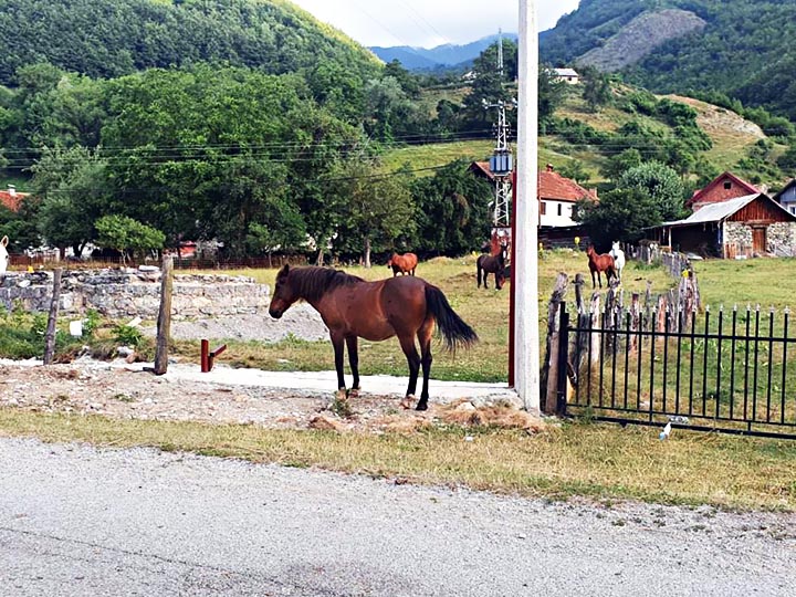 Vandalski čin nad svetinjom Svetog Vasilija Ostroškog kod Gusinja: Ukradena ograda, sveštenik sumnja na Albanca koji mu je ranije prijetio smrću!