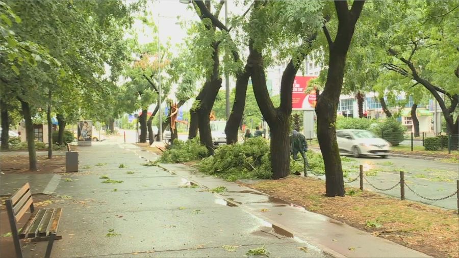 Podgorica: Nevrijeme napravilo haos, polomljena stabla, otpad na ulici…