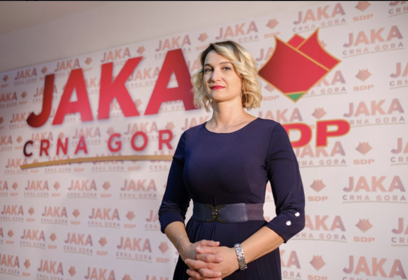 Mitrović: Jaka država ne zloupotrebljava socijalna davanja