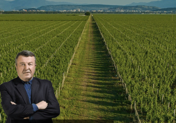 Veselin Vukotić podnio ostavku na mjesto predsjednika Upravnog odbora Plantaža?