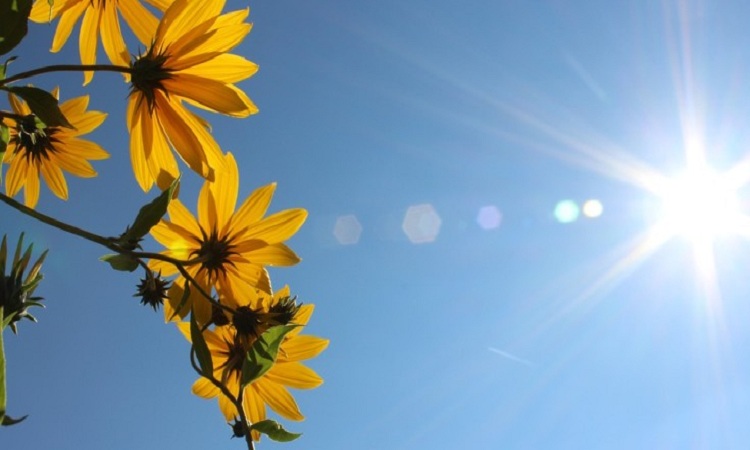 Sjutra pretežno sunčano, temperatura do 36 stepeni