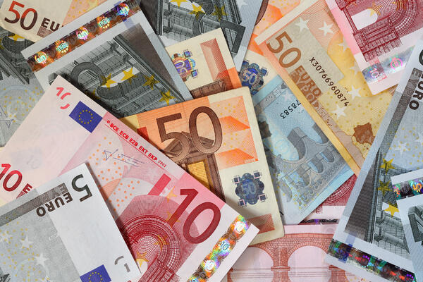 Krivična prijava protiv Novosađanina i „Tron Company“: Budžet CG oštećen za skoro 300.000 eura?
