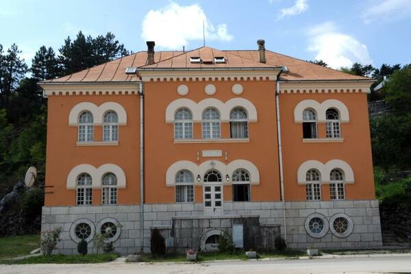 piše Gojko Perović: Okupacija (zdrave pameti) u 10 slika