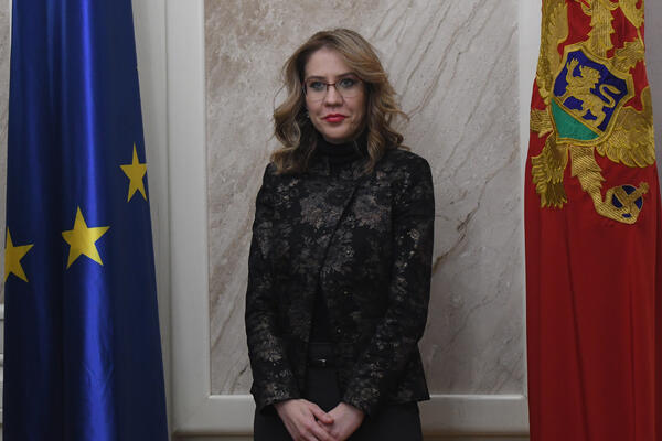 Bratić: Saradnici će biti ljudi od struke