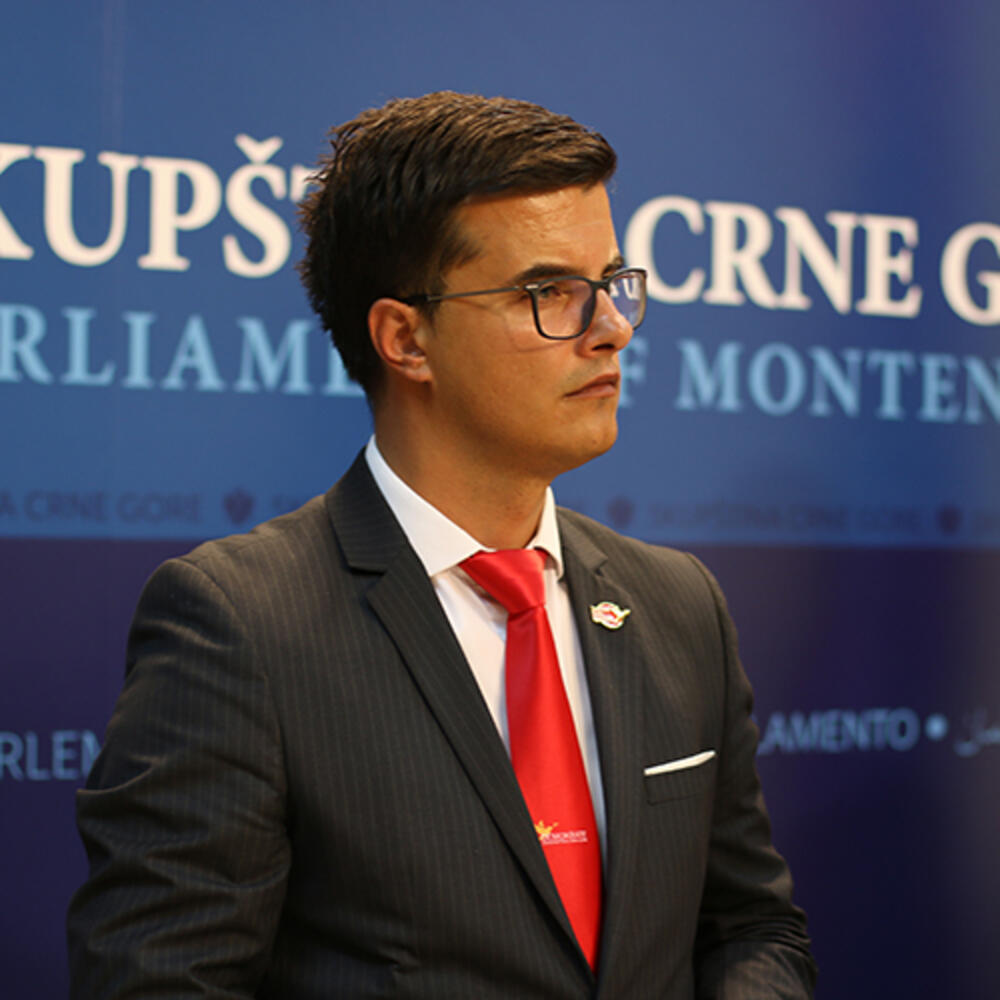 Šaranović: Daćemo maksimalan doprinos vraćanju kontrolne uloge parlamenta
