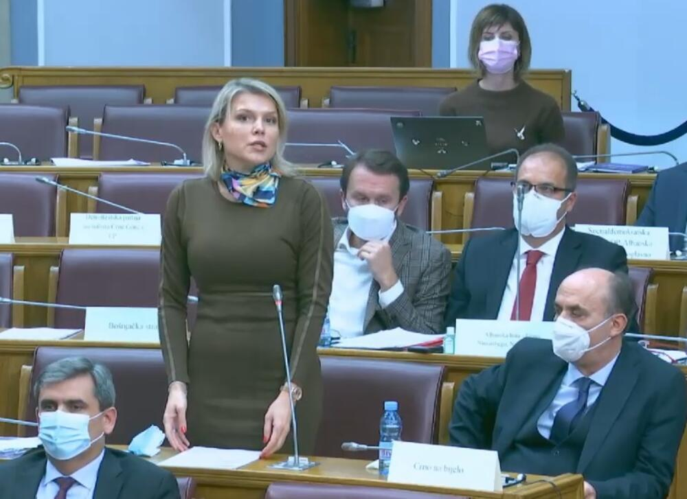 Vuksanović Stanković: Sastav vlade ne odražava volju naroda