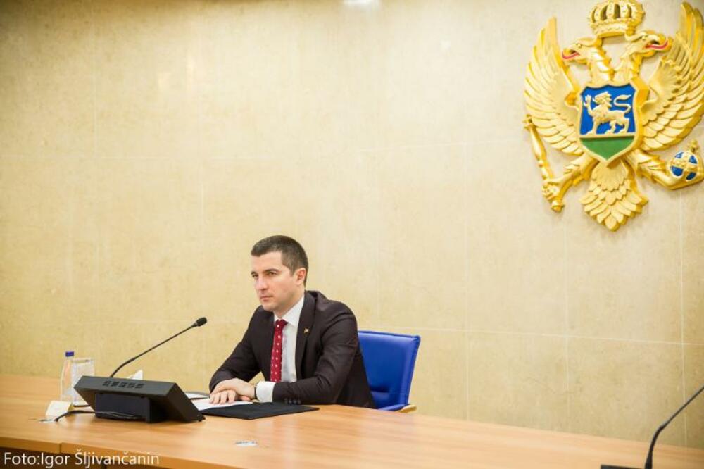 Bečić: Stanje demokratije u Crnoj Gori je uvijek inspirativna tema za debatu