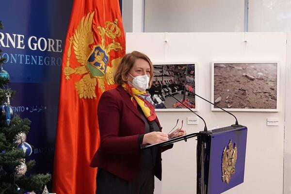 Bošnjak: Ako se smanjuju plate neka se smanje svima, nedopustivo je da sekretarica ima veću platu od ljekara