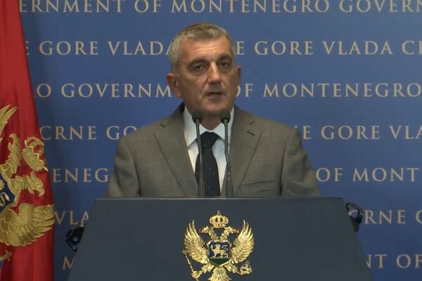 Bojanić: Bojanić: Gašenje Montengro erlajnsa opcija, trudićemo se da do toga ne dođe