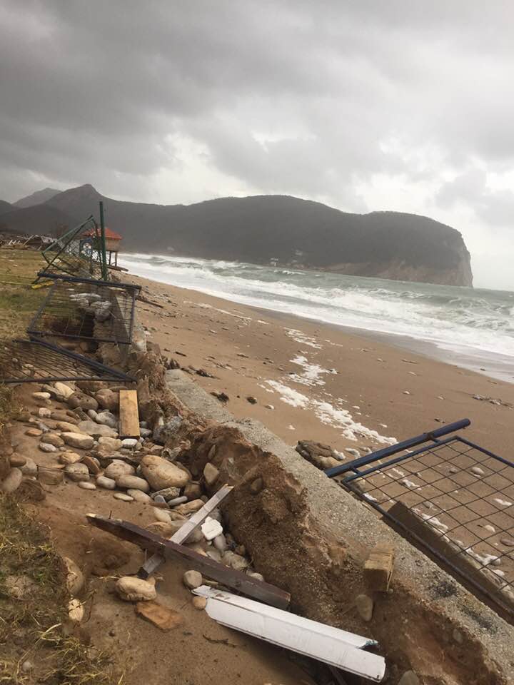 Tuzne Slike Iz Budve Uginuli Delfini Po Plazama Borba