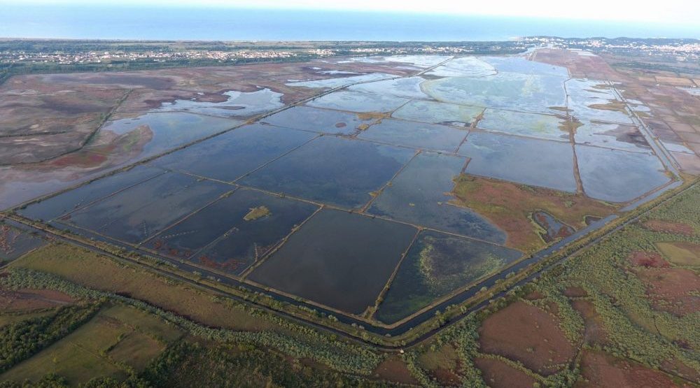 Njemačka nudi eksperta za opstanak Solane