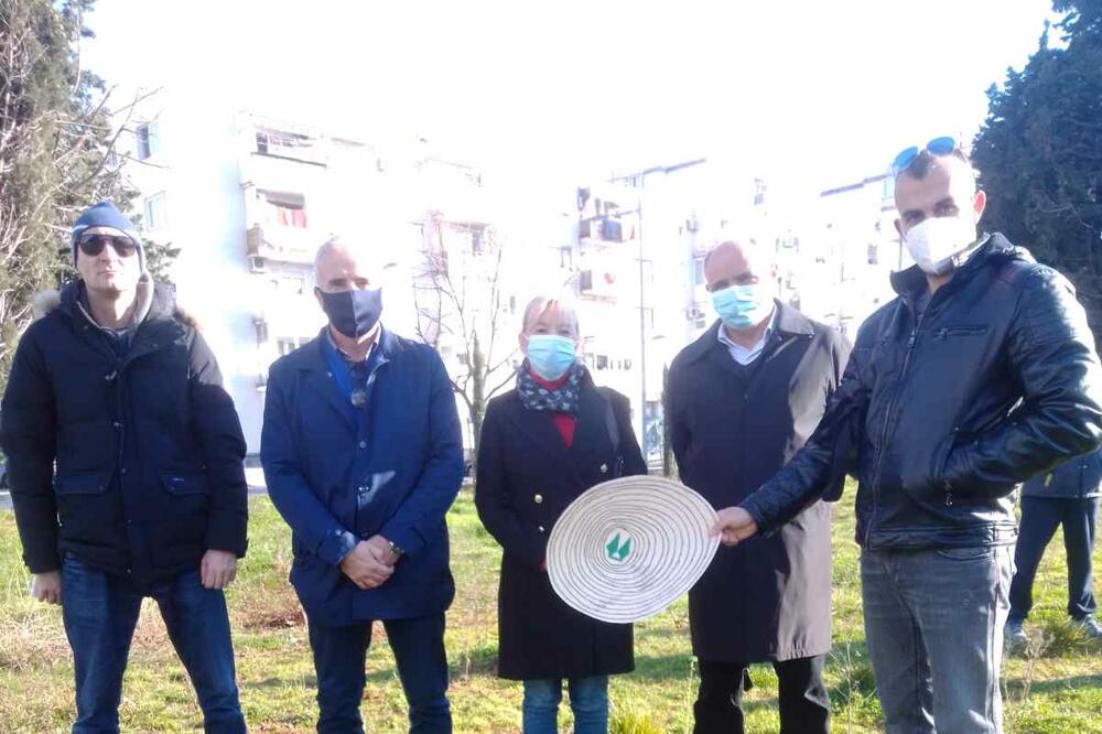 DF Bar: Sječa čempresa pokazatelj bahatosti, neznanja i neodgovornosti bivšeg režima