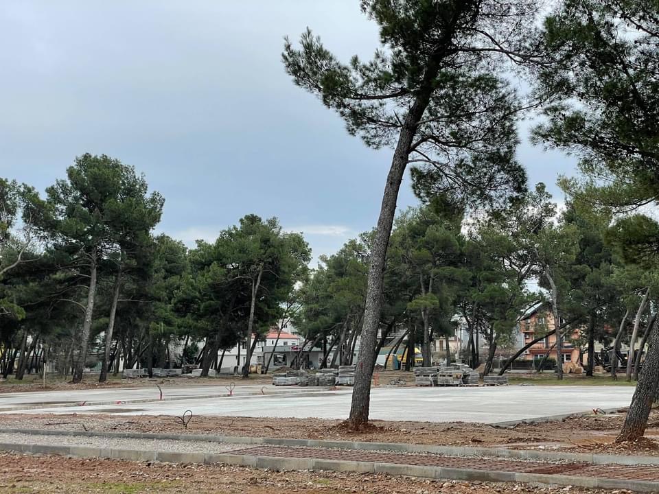 Glavni grad i Bemax „briljiraju“: Zabetonirali Tološku šumu