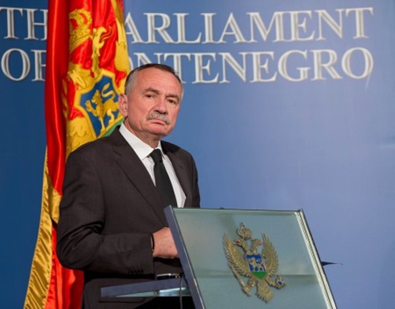 Radulović: EU nek pošalje stručnjake ukoliko želi da pomogne Crnoj Gori