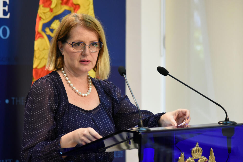 Bošnjak: Od 1992. do 2018. smanjen broj građana, a povećan broj birača