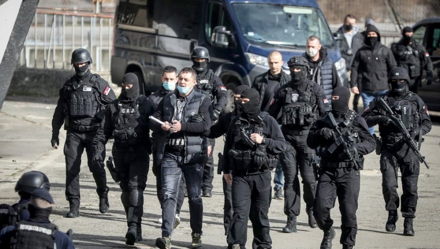 Novi detalji istrage zločina mafijaškog klana: Pirana i Predator šefovi „kavačkih“ ubica!