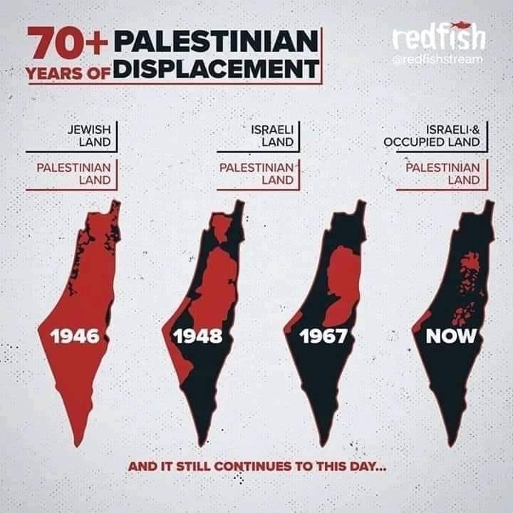 Dosta genocida nad zdravim razumom