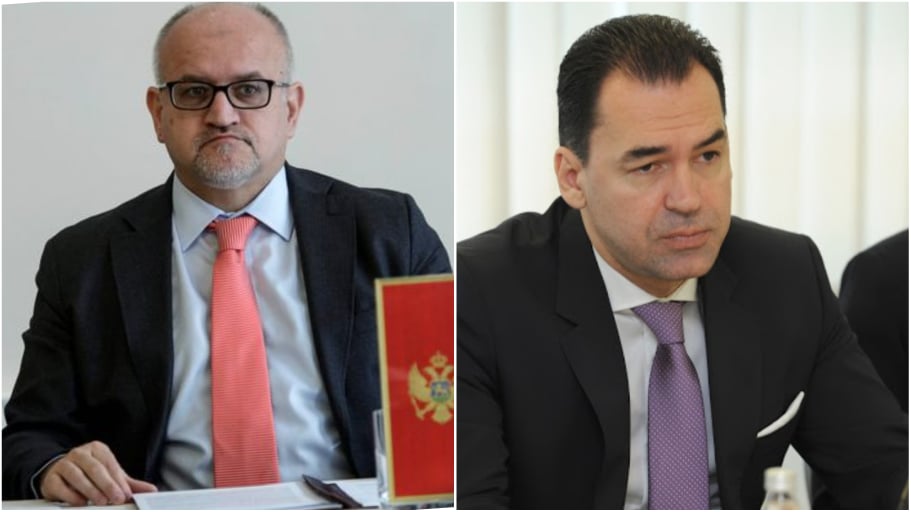 Darmanović i Pažin predstavnici Crne Gore u Venecijanskoj komisiji: Smjena moguća odlukom Vlade?