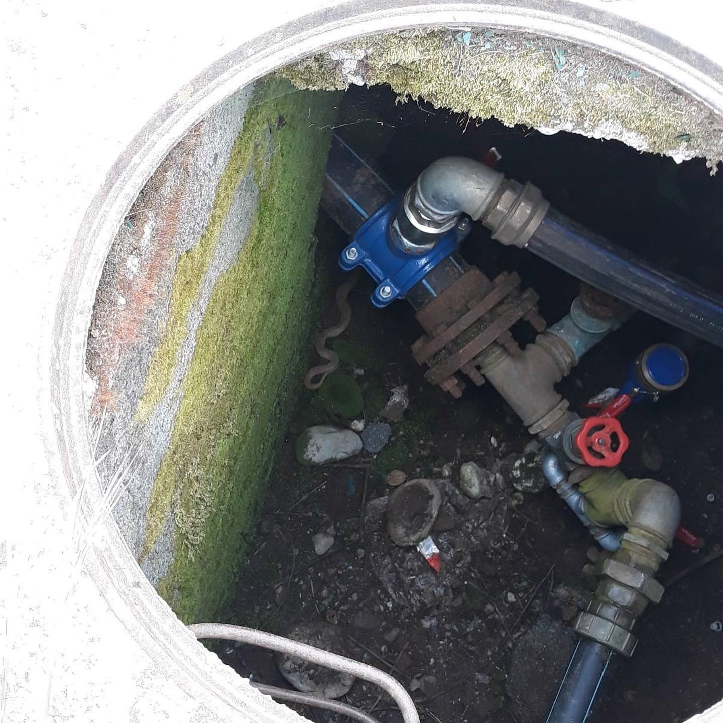 Podgorica: Vatrogasci uklonili pet zmija iz otvorene šahte