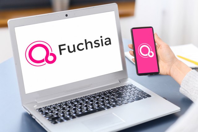 Google-ov novi Fuchsia OS stiže prvo na stari Nest Hub