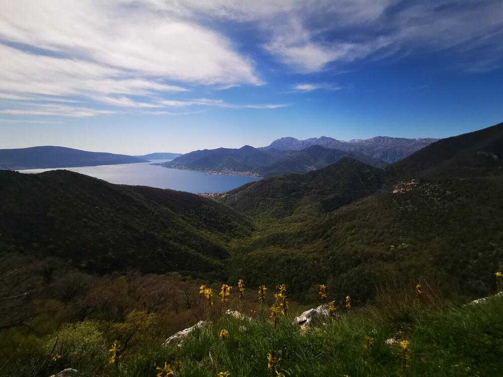 Opština Kotor i Tivat: „Otpočet postupak proglašenja brda Vrmac zaštićenim prirodnim dobrom“