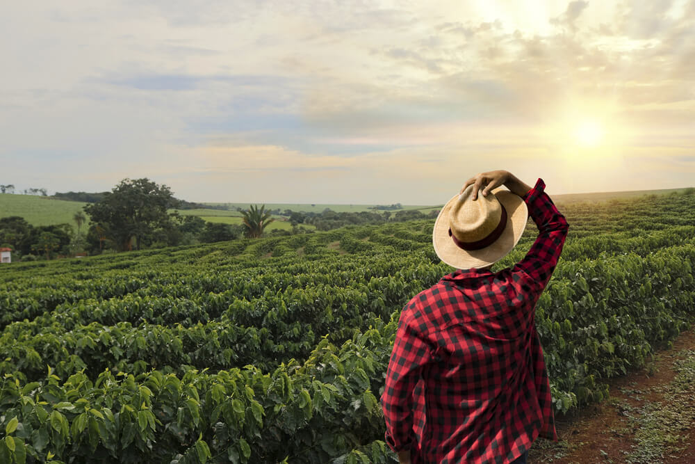 Farmer u Belgiji slučajno izmijenio liniju granice sa Francuskom