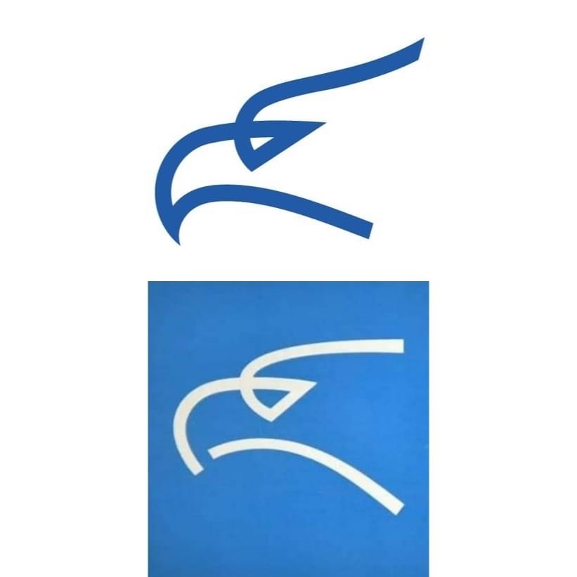 Fidelity consulting o logotipu Air Montenegro: Novi logo isti kao prethodni, neko se našalio sa državnim budžetom