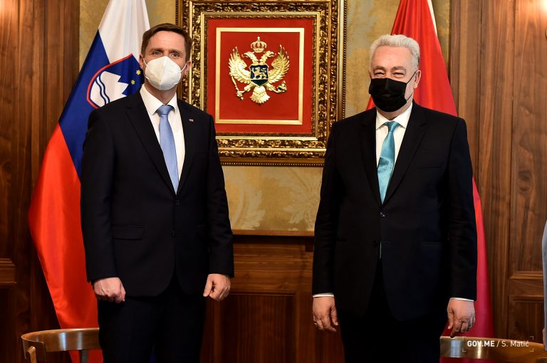 Krivokapić-Zorčič: Ulazak u EU nema alternativu