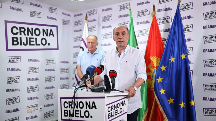 Pavićević: Rekonstrukcija Vlade da ne bude zbog ličnih interesa