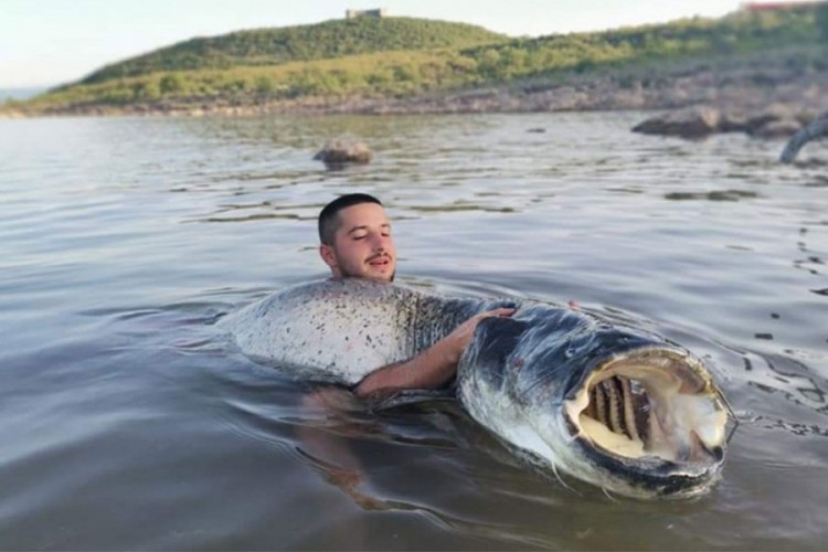 Ulovio soma od 60 kilograma: Borba trajala 90 minuta, vukao me 1,500 metara