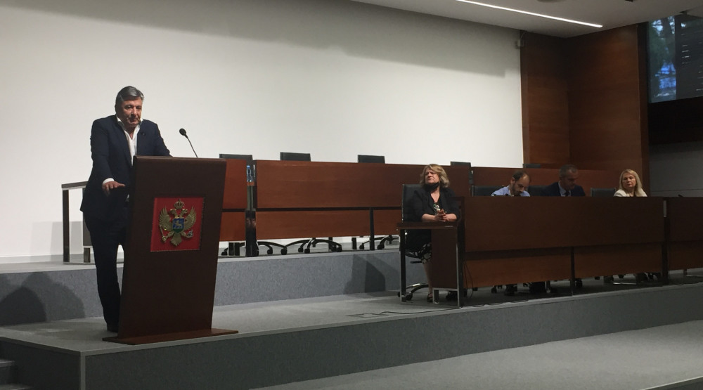 Đurđina Nina Ivanović izabrana za predsjednicu Udruženja državnih tužilaca