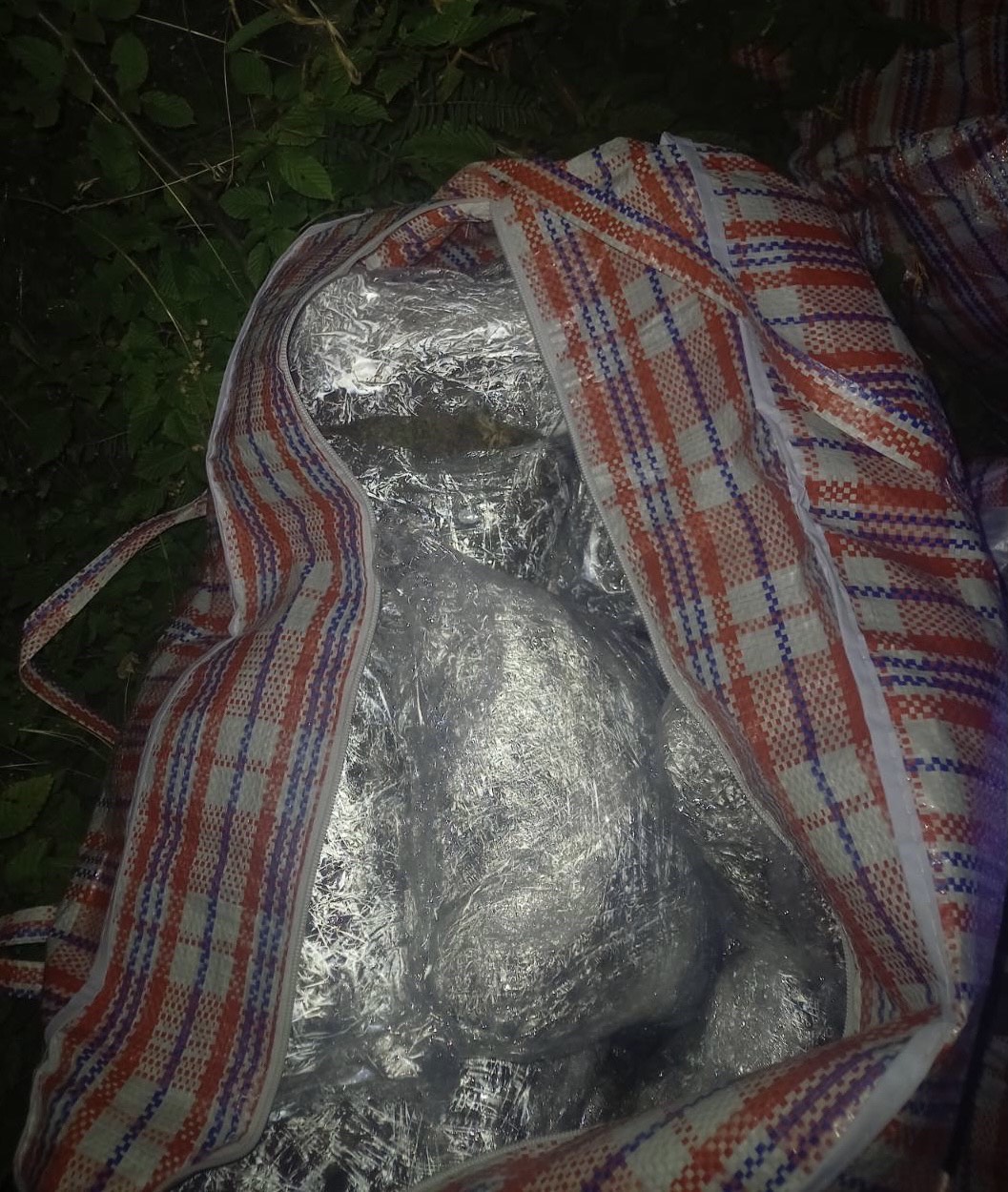Bacili drogu, pa pobjegli: U rožajskom selu pronađeno 120,7 kilograma marihuane