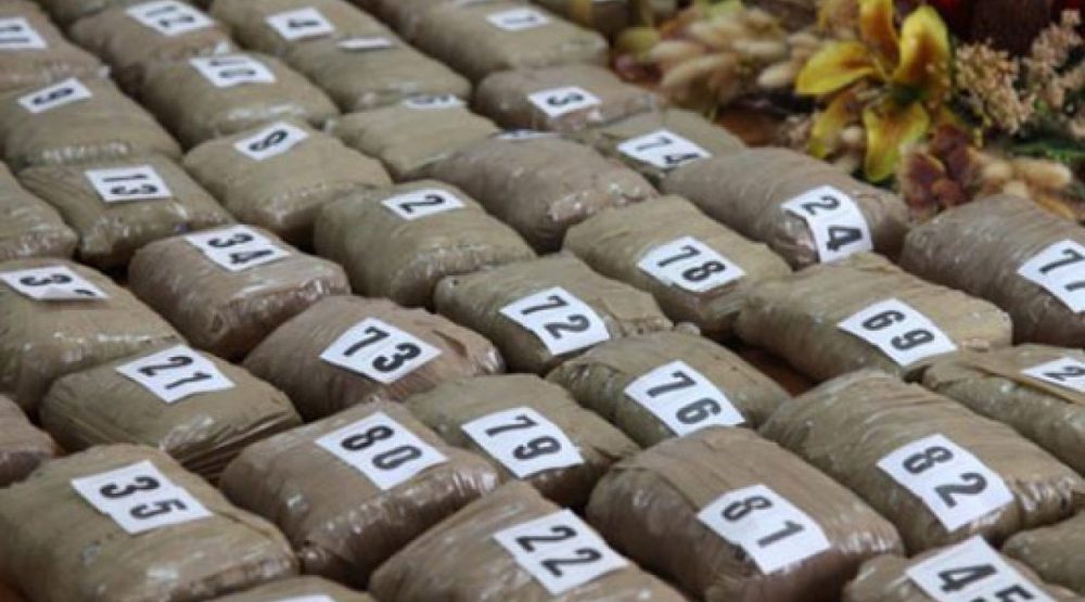 droga-puno-droge-1000×555-1