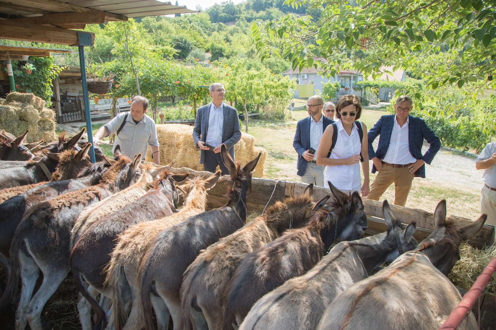Ovo je zastiđe: Na farmi magaraca ambasadorka EU razgovarala sa pregovaračicom Zorkom Kordić o evropskim integracijama!