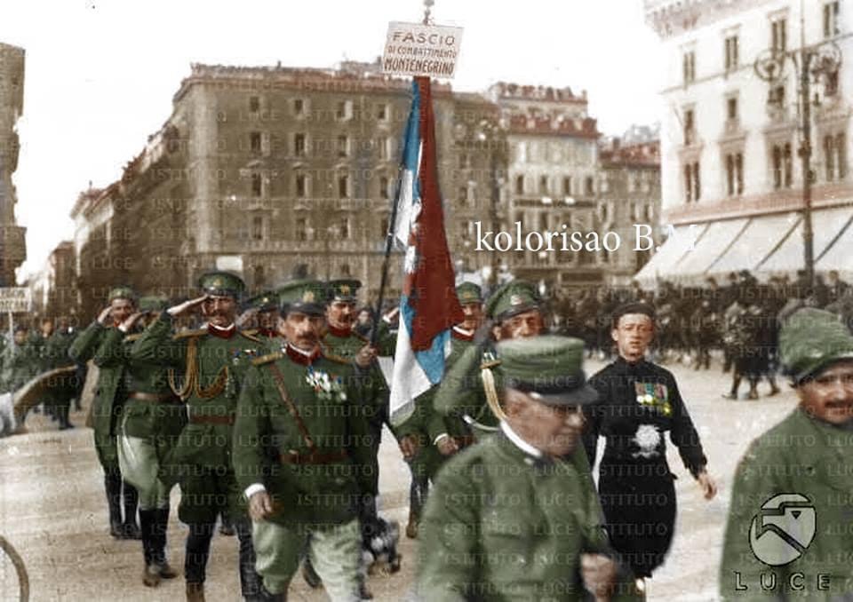 Otkrivena prevara: “Komite” nosile trobojku a ne zelenu zastavu! (FOTO)