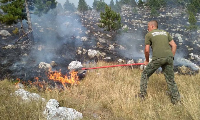 Požar u NP Durmitor i dalje aktivan
