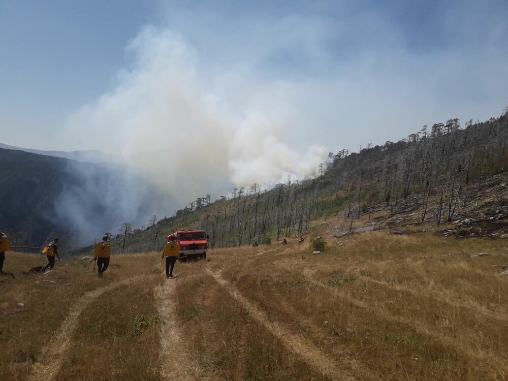 NPCG: Požar u NP Durmitor se širi ka kanjonu Tare, izbio novi na vrhu Međed!