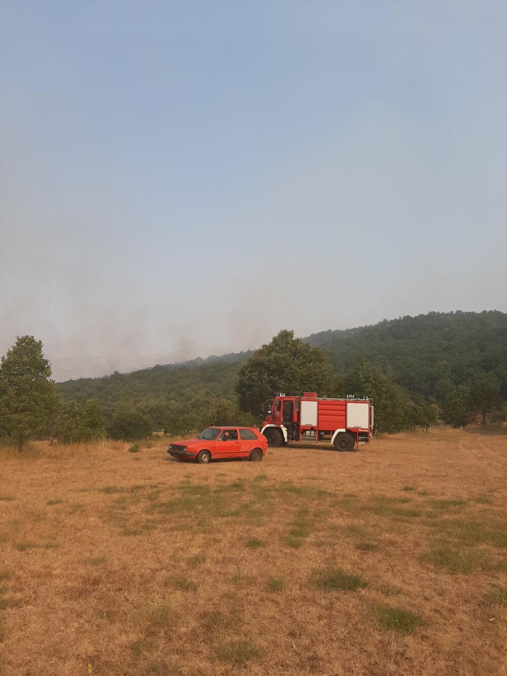 Vatra u Kučima prijeti kućama, lokalizovan požar u Gošićima
